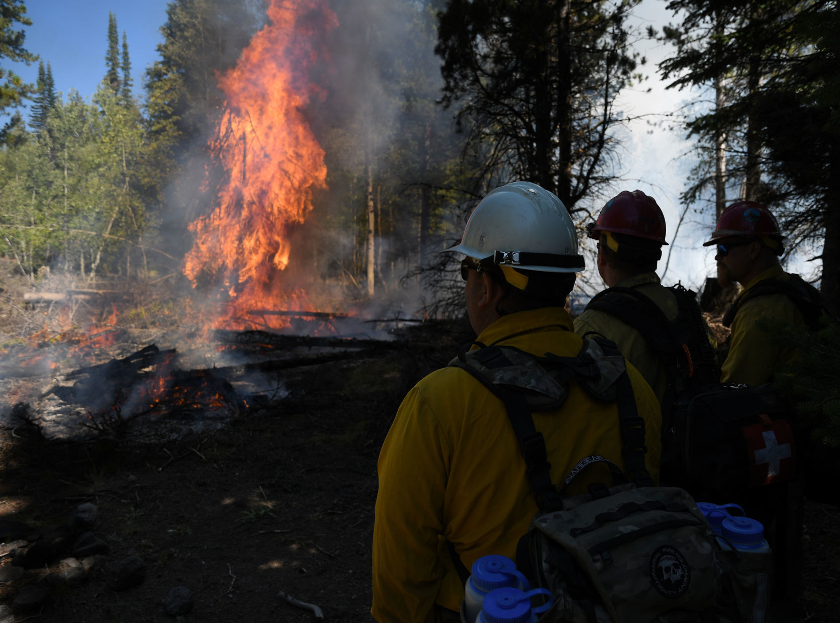 Prescribed burn